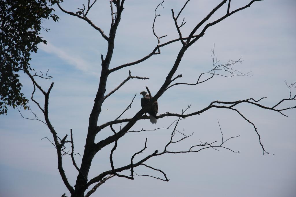 Cliff Dweller On Superior 2* Tofte